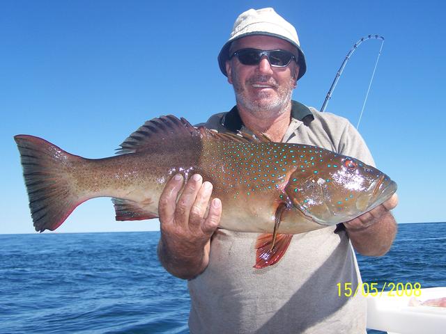 Ab's Troutly Ab's Troutly